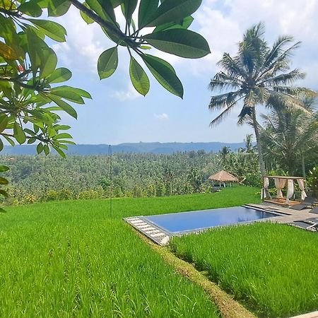 Bali De Pardis Cottage Munduk Esterno foto