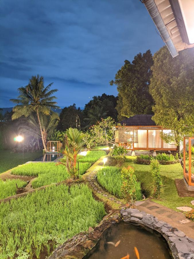 Bali De Pardis Cottage Munduk Esterno foto