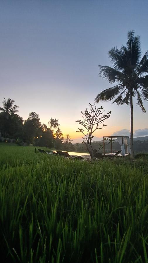 Bali De Pardis Cottage Munduk Esterno foto