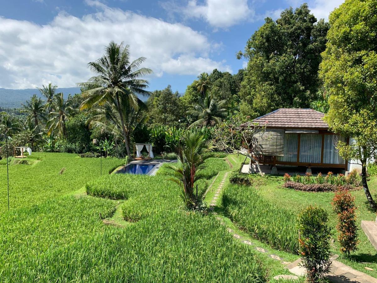 Bali De Pardis Cottage Munduk Esterno foto