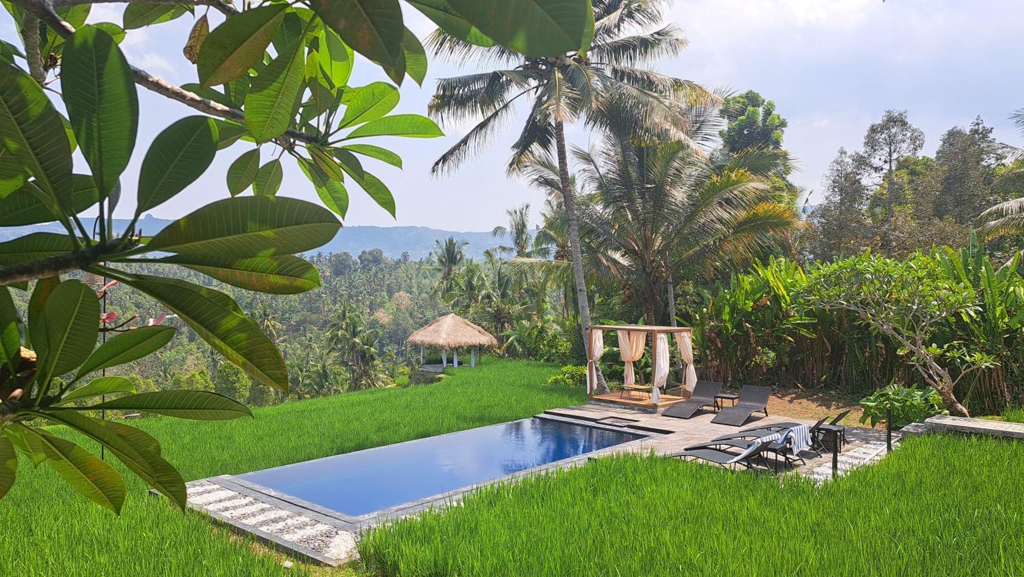 Bali De Pardis Cottage Munduk Esterno foto