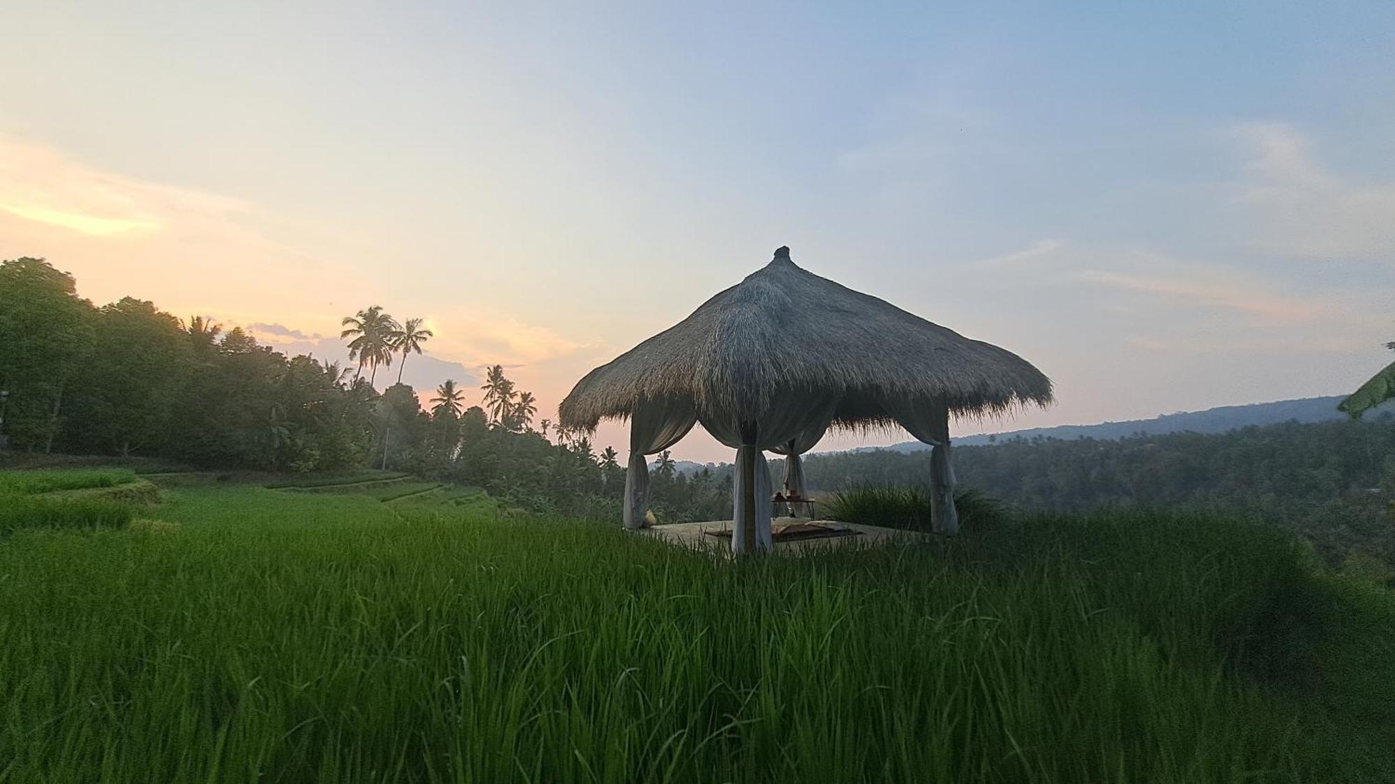 Bali De Pardis Cottage Munduk Esterno foto