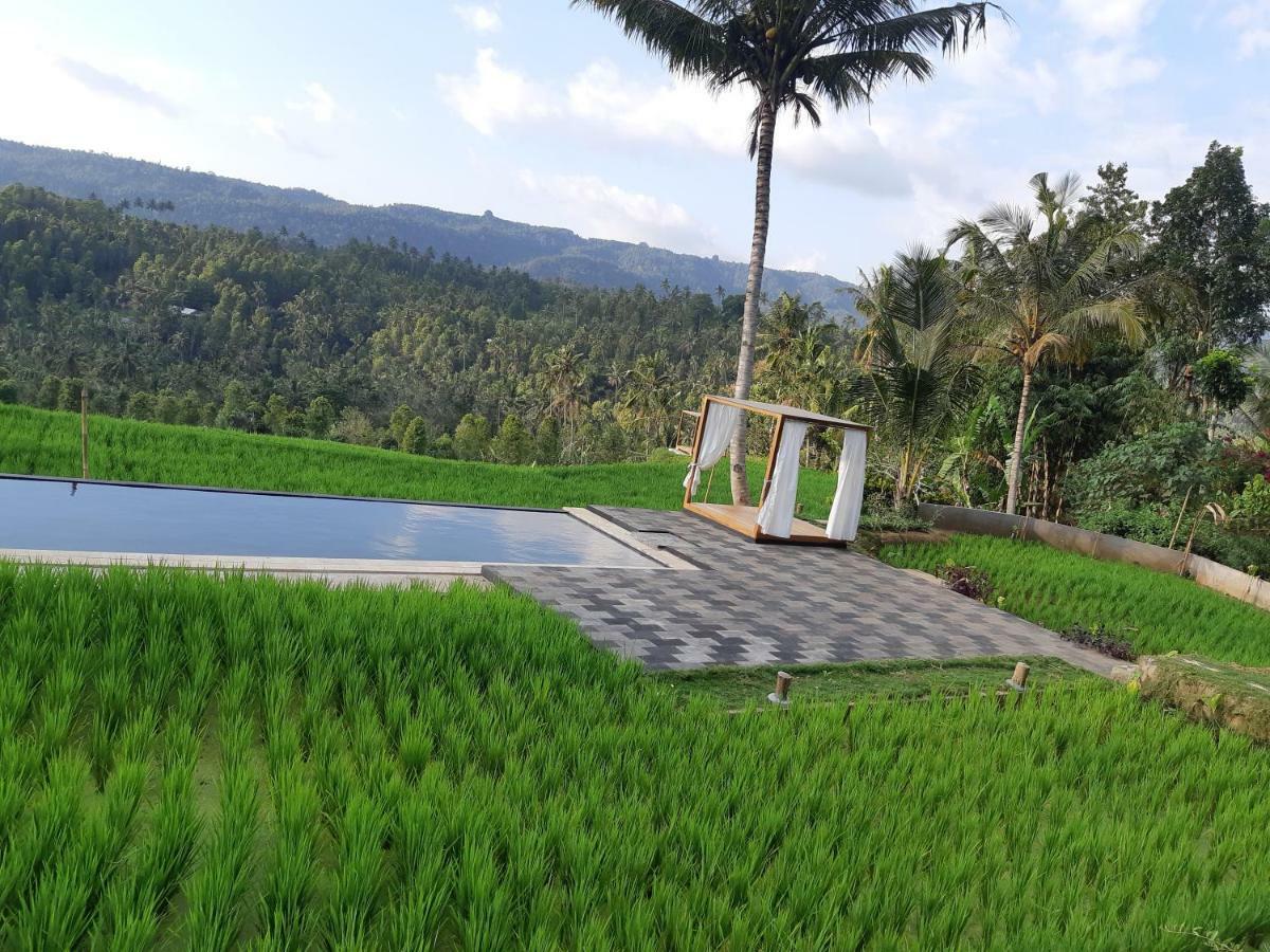 Bali De Pardis Cottage Munduk Esterno foto