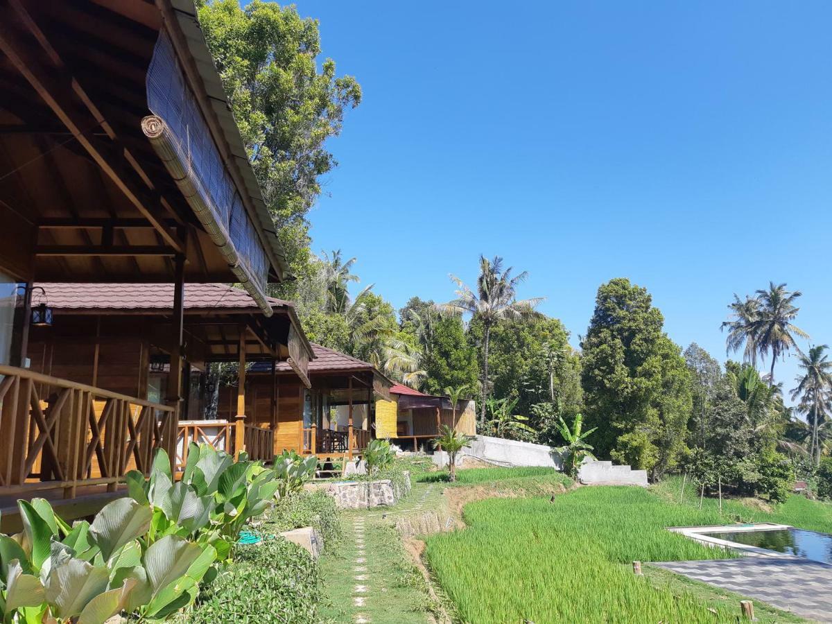 Bali De Pardis Cottage Munduk Esterno foto