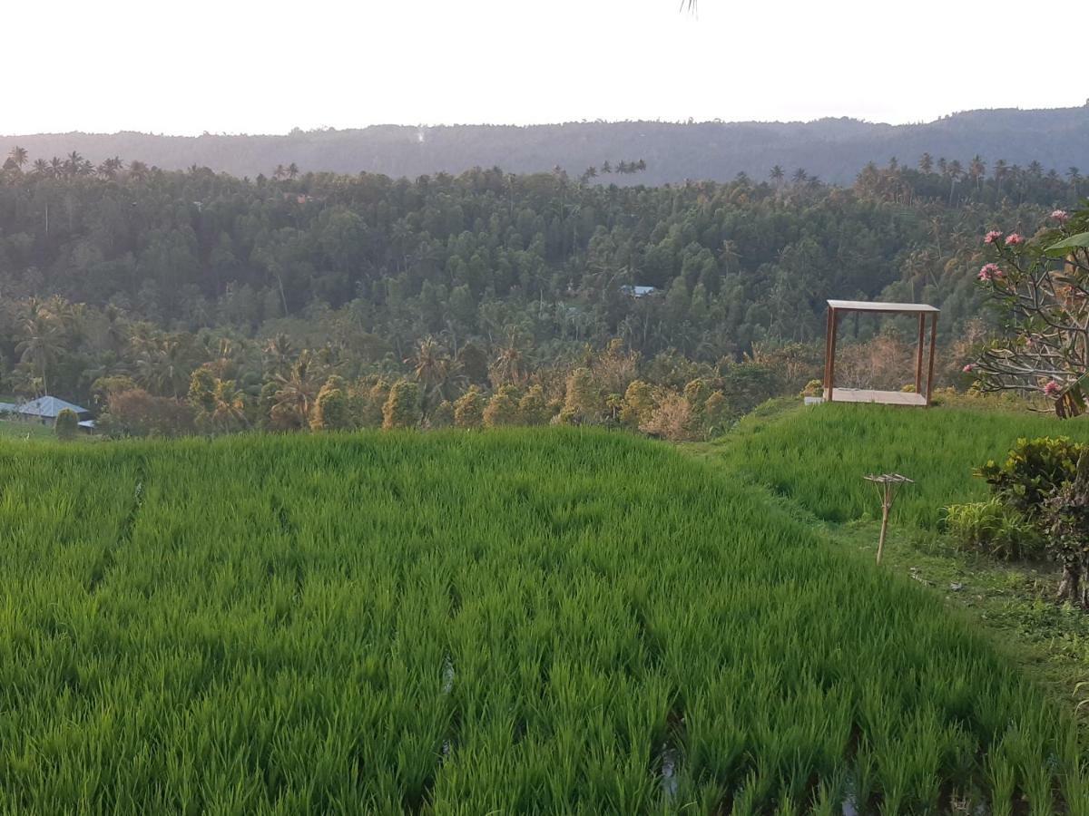 Bali De Pardis Cottage Munduk Esterno foto