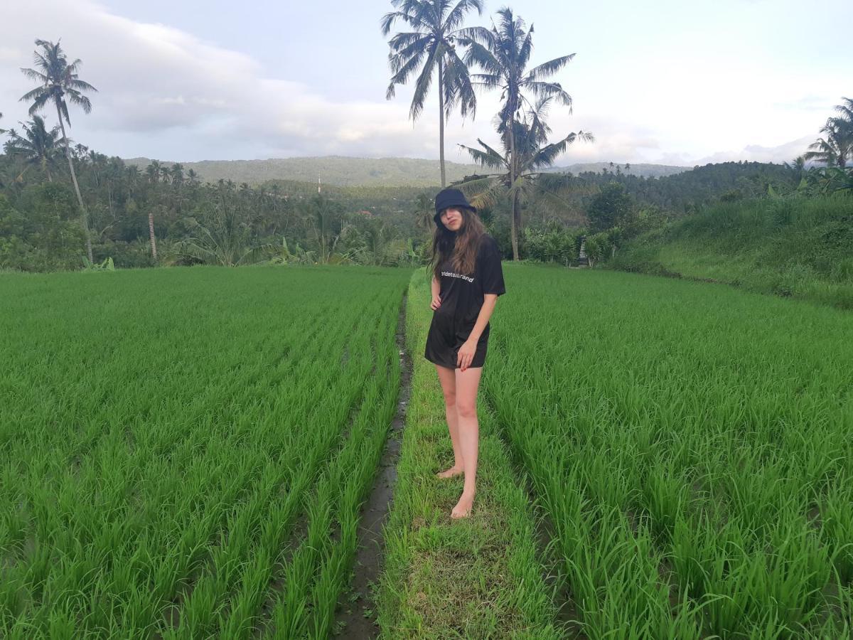 Bali De Pardis Cottage Munduk Esterno foto