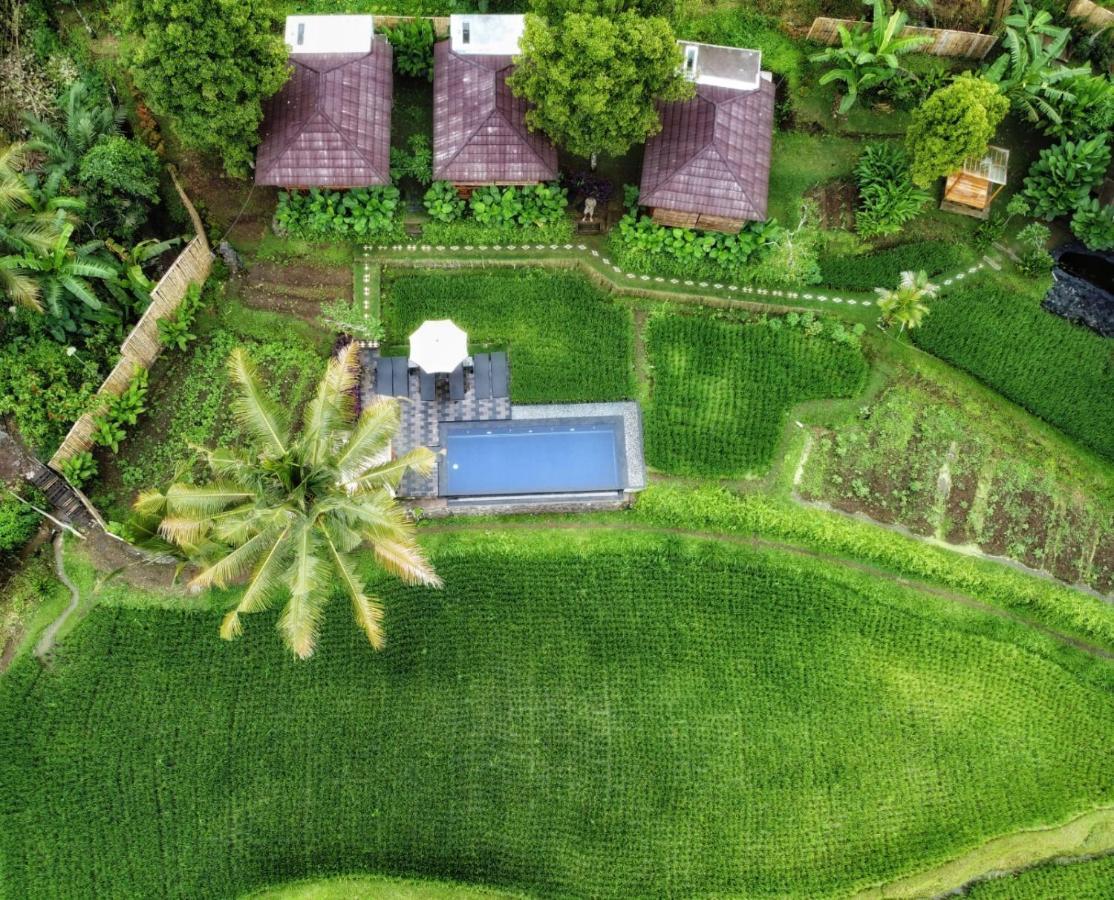 Bali De Pardis Cottage Munduk Esterno foto
