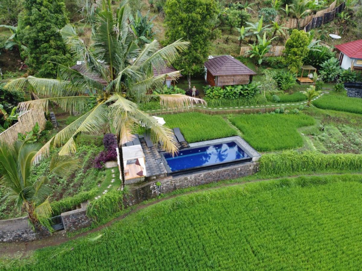 Bali De Pardis Cottage Munduk Esterno foto