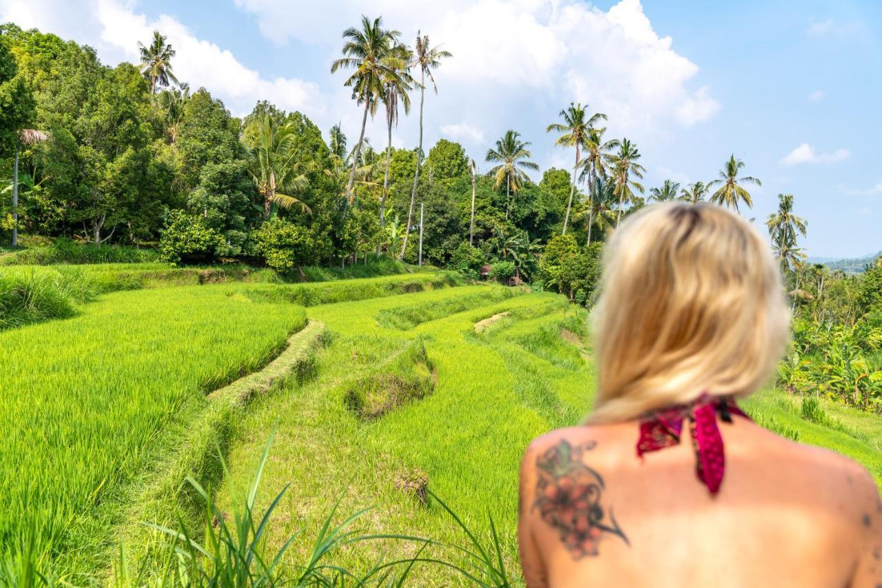 Bali De Pardis Cottage Munduk Esterno foto